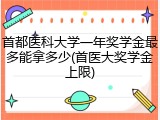 首都医科大学一年奖学金最多能拿多少(首医大奖学金上限)