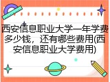西安信息职业大学一年学费多少钱，还有哪些费用(西安信息职业大学费用)