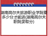 湖南高尔夫旅游职业学院要多少分才能进(湖南高尔夫职院录取分)