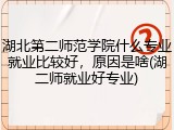 湖北第二师范学院什么专业就业比较好，原因是啥(湖二师就业好专业)