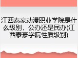 江西泰豪动漫职业学院是什么级别，公办还是民办(江西泰豪学院性质级别)