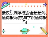 武汉东湖学院含金量量吗，值得报吗(东湖学院值得报吗)