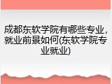 成都东软学院有哪些专业，就业前景如何(东软学院专业就业)