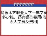 乌鲁木齐职业大学一年学费多少钱，还有哪些费用(乌职大学费及费用)