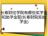 长春财经学院有哪些奖学金和助学金呢(长春财院奖助学金)