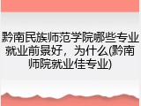 黔南民族师范学院哪些专业就业前景好，为什么(黔南师院就业佳专业)