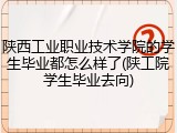 陕西工业职业技术学院的学生毕业都怎么样了(陕工院学生毕业去向)