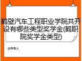 鹤壁汽车工程职业学院共开设有哪些类型奖学金(鹤职院奖学金类型)