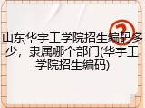 山东华宇工学院招生编码多少，隶属哪个部门(华宇工学院招生编码)