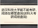 武汉科技大学能不能考研，成绩在哪里查询(武科大考研成绩查询)