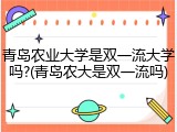 青岛农业大学是双一流大学吗?(青岛农大是双一流吗)