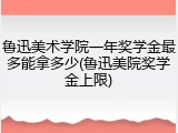 鲁迅美术学院一年奖学金最多能拿多少(鲁迅美院奖学金上限)