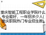 重庆智能工程职业学院什么专业最好，一年招多少人(重庆职院热门专业招生数)