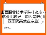山西职业技术学院什么专业就业比较好，原因是啥(山西职院高就业专业)