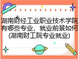 湖南财经工业职业技术学院有哪些专业，就业前景如何(湖南财工院专业就业)