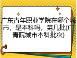 广东青年职业学院在哪个城市，是本科吗，第几批(广青院城市本科批次)