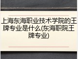 上海东海职业技术学院的王牌专业是什么(东海职院王牌专业)
