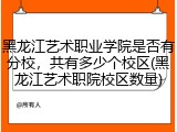 黑龙江艺术职业学院是否有分校，共有多少个校区(黑龙江艺术职院校区数量)