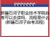 新疆石河子职业技术学院自考可以去读吗，流程是什么(新疆石河子自考流程)