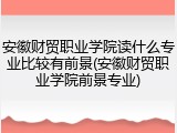 安徽财贸职业学院读什么专业比较有前景(安徽财贸职业学院前景专业)