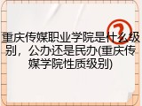 重庆传媒职业学院是什么级别，公办还是民办(重庆传媒学院性质级别)
