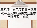 黑龙江生态工程职业学院是双一流大学吗?(黑龙江生态学院是双一流吗)