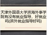 天津外国语大学滨海外事学院有没有就业指导，好就业吗(滨外就业指导好吗)