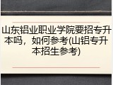 山东铝业职业学院要招专升本吗，如何参考(山铝专升本招生参考)