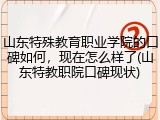 山东特殊教育职业学院的口碑如何，现在怎么样了(山东特教职院口碑现状)