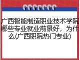 广西智能制造职业技术学院哪些专业就业前景好，为什么(广西职院热门专业)