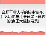 合肥工业大学的校史简介，什么历史与社会背景下建校的(合工大建校背景)