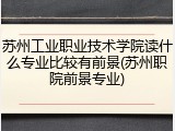 苏州工业职业技术学院读什么专业比较有前景(苏州职院前景专业)