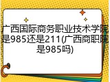 广西国际商务职业技术学院是985还是211(广西商职院是985吗)