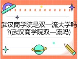 武汉商学院是双一流大学吗?(武汉商学院双一流吗)