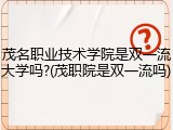 茂名职业技术学院是双一流大学吗?(茂职院是双一流吗)