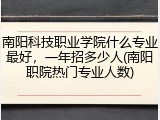 南阳科技职业学院什么专业最好，一年招多少人(南阳职院热门专业人数)