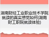 湖南财经工业职业技术学院就读的真实感觉如何(湖南财工职院就读体验)