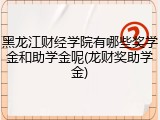 黑龙江财经学院有哪些奖学金和助学金呢(龙财奖助学金)