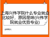 上海兴伟学院什么专业就业比较好，原因是啥(兴伟学院就业优势专业)