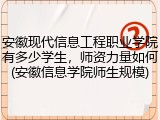 安徽现代信息工程职业学院有多少学生，师资力量如何(安徽信息学院师生规模)