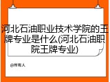 河北石油职业技术学院的王牌专业是什么(河北石油职院王牌专业)
