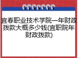 宜春职业技术学院一年财政拨款大概多少钱(宜职院年财政拨款)