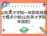 山东英才学院一年财政拨款大概多少钱(山东英才学院年拨款)