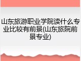 山东旅游职业学院读什么专业比较有前景(山东旅院前景专业)
