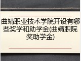 曲靖职业技术学院开设有哪些奖学和助学金(曲靖职院奖助学金)