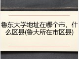 鲁东大学地址在哪个市，什么区县(鲁大所在市区县)