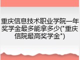 重庆信息技术职业学院一年奖学金最多能拿多少("重庆信院最高奖学金")
