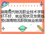 湖南现代物流职业技术学院好不好，就业现状及发展趋势(湖南物流职院就业前景)