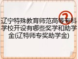 辽宁特殊教育师范高等专科学校开设有哪些奖学和助学金(辽特师专奖助学金)