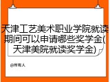 天津工艺美术职业学院就读期间可以申请哪些奖学金(天津美院就读奖学金)